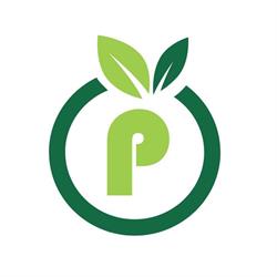 Pazikoland