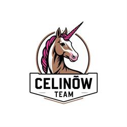 STAJNIA CELINÓW - konie nauka jazdy pensjonat stadnina boksy obozy wycieczki jazda konna