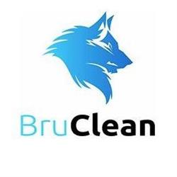 Bru-Clean- Profesjonalna Pralnia dywanów