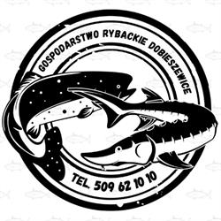 Ryby Dobieszewice 7