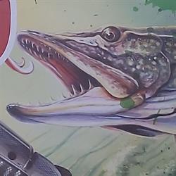 Sklep zoologiczno wędkarski