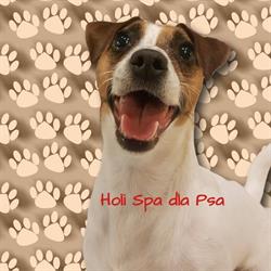 Holi Spa dla Psa