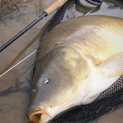 Sklep wędkarski Extreme Fishing