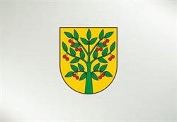 GMINA WIŚNIEW