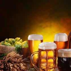 HOLBA PUB & BISTRO - Obiady domowe