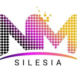 Agencja Reklamy Sosnowiec - NM Silesia