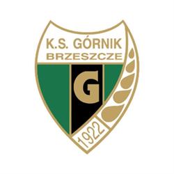 HANDLOWO USŁUGOWA GÓRNIK