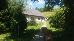 Agroturystyka powrożnik 94