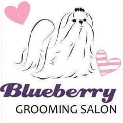 Blueberry grooming salon