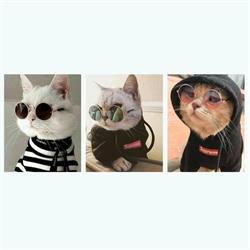 New Style Web