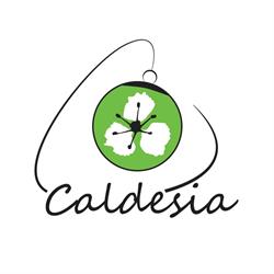 CALDESIA