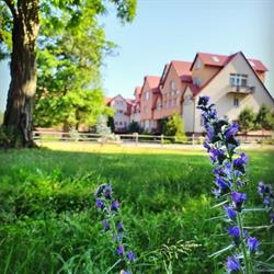 FIORD Nowa Studnica