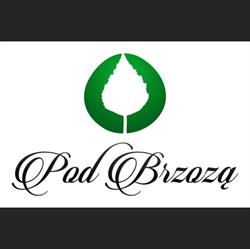 Pod Brzozą
