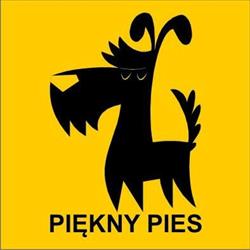 Piękny Pies Pielęgnacja i strzyżenie psów