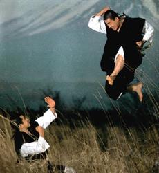 Polska Organizacja Shorinji Kempo
