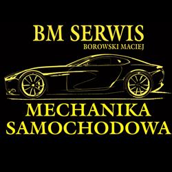 BM Serwis