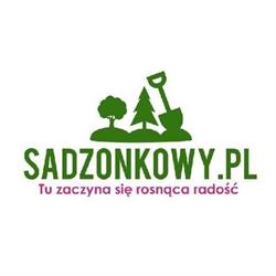 sadzonkowy.pl