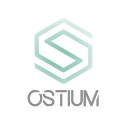 Ostium Gabinet Fizjoterapii i Terapii Manualnej