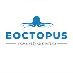 Eoctopus Rybnik