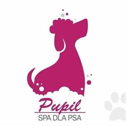 Pupil Spa dla Psa