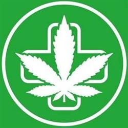 Sensi Hemp Gdynia