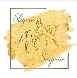 Stajnia Surprise Pogórze