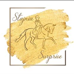 Stajnia Surprise Pogórze
