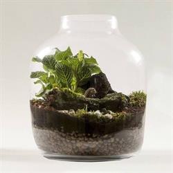 Dar-Glass