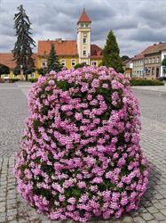 Gmina Dolsk