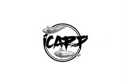 Icarp.pl