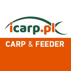 Icarp.pl