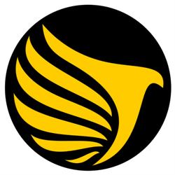 Golden Hawk