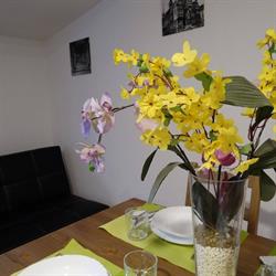 Apartamenty nad Odrą