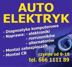 AUTO Elektryk Gniezno