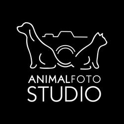 Animal Foto Studio Kamil Czyżewski