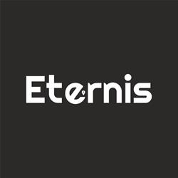 Eternis - Bolt, Uber, FreeNow & Glovo Partner Warszawa