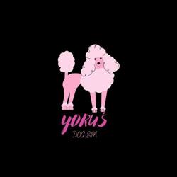 Yoruś