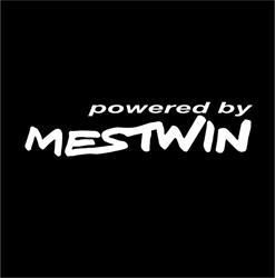 Powered by Mestwin