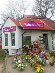Kwiaciarnia Rajski Ogród