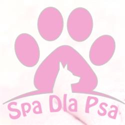 Psi Fryzjer - Spa Dla Psa