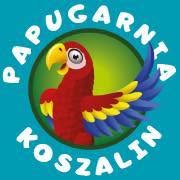 Papugarnia Koszalin