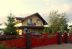Kotki 2