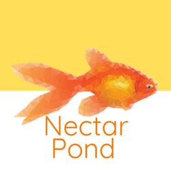Apartament Kudowa Zdrój Nectar Pond - noclegi