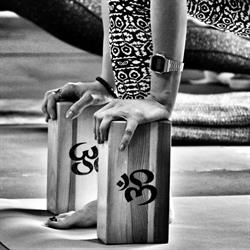 Joga