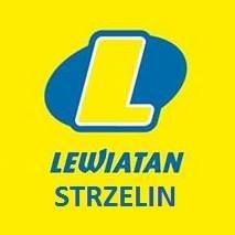 Lewiatan Strzelin