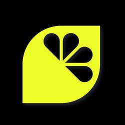 LEMON Salsa - Szkoła Tańca - Rzeszów - Salsa, Bachata, West Coast Swing, Latino, High Heels