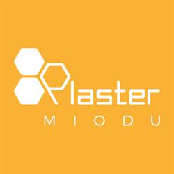 Domek Plaster Miodu