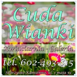 Cuda Wianki - Kwiaciarnia, Galeria