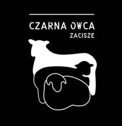 Czarna Owca