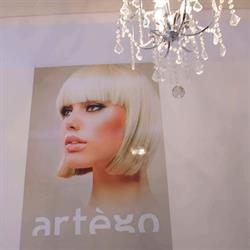 Artego Olkusz